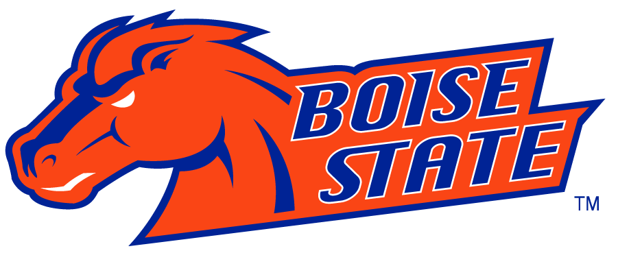 Boise State Broncos 2002-2012 Secondary Logo v15 DIY iron on transfer (heat transfer)